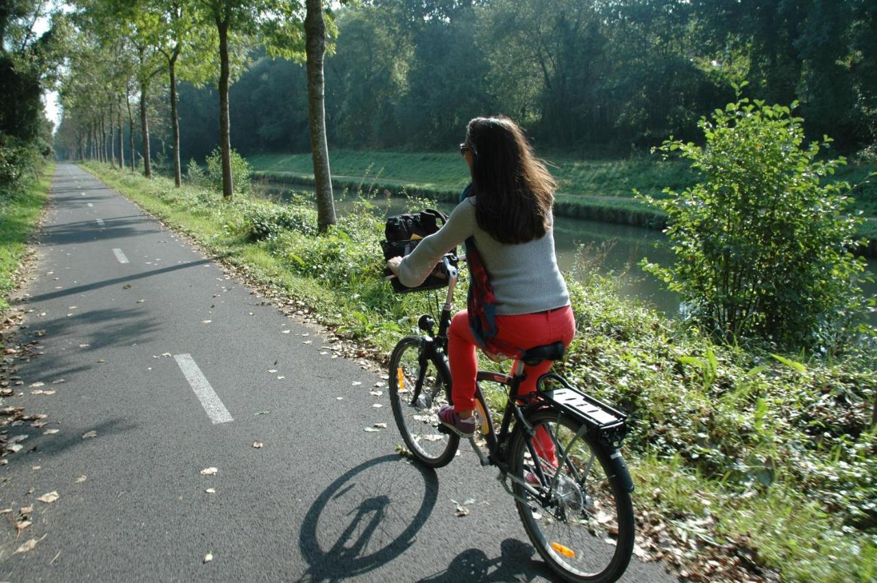 Gite bord de Marne Paris Bry-sur-Marne Extérieur photo